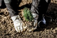 Nitras BIOWORKER, Rindvolllederhandschuhe, naturfarbener...