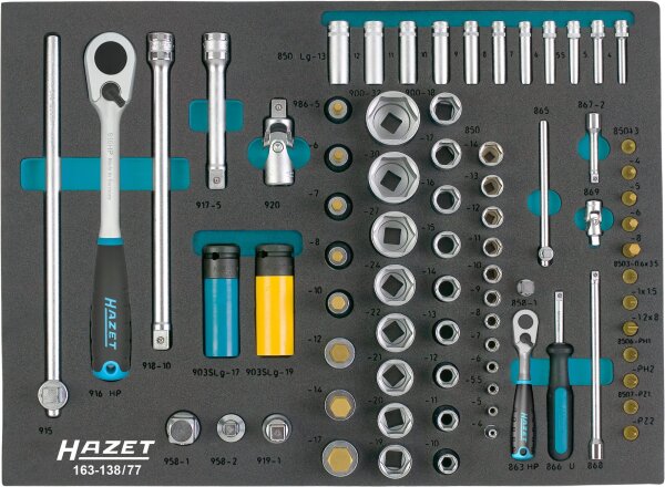 HAZET Steckschlüssel Satz 163-138/77 - Vierkant12,5 mm (1/2 Zoll), Vierkant6,3 mm (1/4 Zoll) - Außen-Sechskant-Tractionsprofil, Innen-Sechskant Profil, Innen TORX® Profil, Kreuzschlitz Profil PH, Pozidriv Profil PZ, Schlitz Profil - Anzahl Werkzeuge: 77