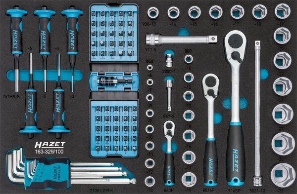 HAZET Werkzeug Satz 163-329/100 - Vierkant6,3 mm (1/4 Zoll), Vierkant10 mm (3/8 Zoll), Vierkant12,5 mm (1/2 Zoll), Sechskant6,3 (1/4 Zoll) - Außen-Sechskant-Tractionsprofil, Kreuzschlitz Profil PH, Pozidriv Profil PZ, Schlitz Profil, Tamper Resistant TORX