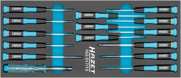 HAZET Elektronik-Schraubendreher Satz 163-517/15 - Schlitz Profil, Kreuzschlitz Profil PH, Innen TORX® Profil - Anzahl Werkzeuge: 15