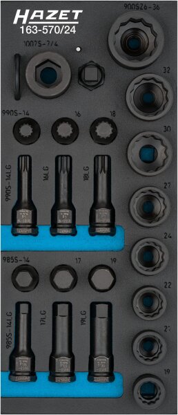 HAZET Schlag-, Maschinenschrauber Steckschlüsseleinsatz Satz 163-570/24 - Vierkant12,5 mm (1/2 Zoll) - Außen-Doppel-Sechskant-Tractionsprofil, Innen-Sechskant Profil, Innen Vielzahn Profil XZN - 19 – 36 - Anzahl Werkzeuge: 24