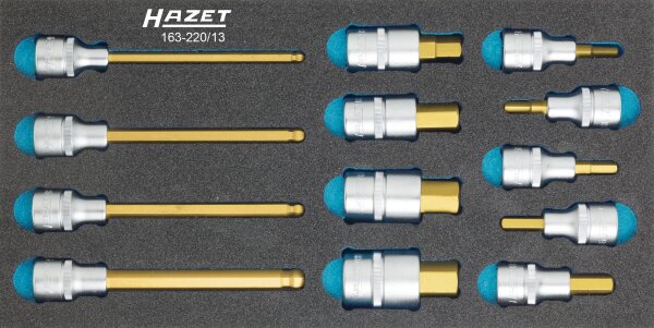 HAZET Schraubendreher-Steckschlüsseleinsatz Satz 163-220/13 - Vierkant12,5 mm (1/2 Zoll) - Innen-Sechskant Profil - Anzahl Werkzeuge: 13