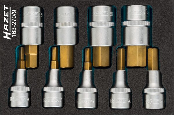 HAZET Schraubendreher-Steckschlüsseleinsatz Satz 163-270/9 - Vierkant12,5 mm (1/2 Zoll) - Innen-Sechskant Profil - 5 – 19 - Anzahl Werkzeuge: 9