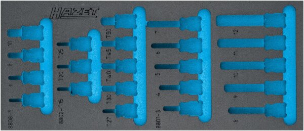 HAZET Zubehör 2-Komponenten Weichschaum-Einlage 163-571L
