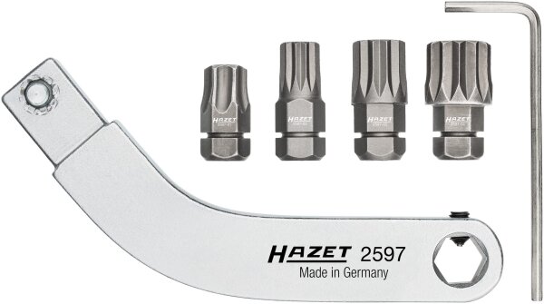 HAZET Türscharnier Einsteck-Werkzeug - gebogener Bithalter - Satz 2597-2/5 - Einsteck-Vierkant 9 x 12 mm - Sechskant8 mm (5/16 Zoll), Innen TORX® Profil, Innen Vielzahn Profil XZN - T45, M8, M10, M12