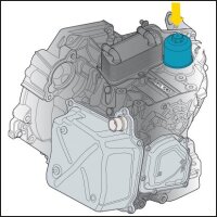 HAZET Ölfilter-Schlüssel für DSG-Getriebeölwechsel 2169-24 - Vierkant12,5 mm (1/2 Zoll) - Außen-Doppel-Sechskant Profil - 24 mm