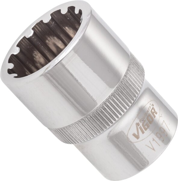 VIGOR Multiprofil Steckschlüsseleinsatz - V1997 - Vierkant12,5 mm (1/2 Zoll) - Multiprofil - 19 mm