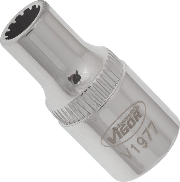 VIGOR Multiprofil-Steckschlüsseleinsatz - V1977 - Vierkant6,3 mm (1/4 Zoll) - Multiprofil - 5 mm