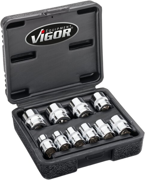VIGOR Doppelsechskant-Steckschlüssel Satz - V7538/10 - Vierkant10 mm (3/8 Zoll) - Außen-Doppel-Sechskant Profil - Anzahl Werkzeuge: 10