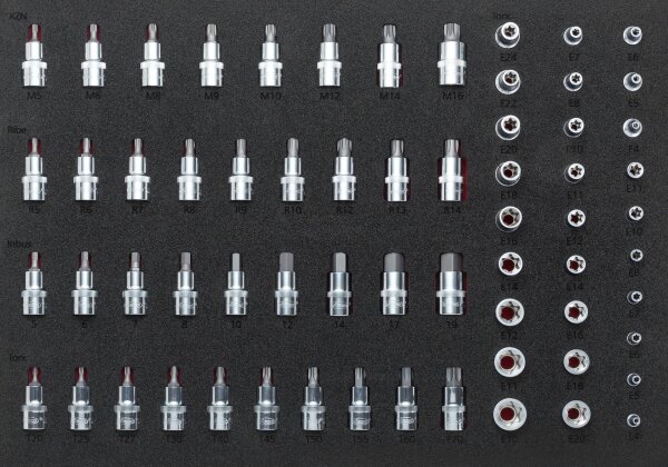 VIGOR Steckschlüsseleinsatz Satz - V2837 - Vierkant6,3 mm (1/4 Zoll), Vierkant10 mm (3/8 Zoll), Vierkant12,5 mm (1/2 Zoll) - Außen TORX® Profil, Innen Keilprofil Ribe-CV, Innen TORX® Profil, Innen Vielzahn Profil XZN, Innen-Sechskant Profil - 5 – 19 · E4