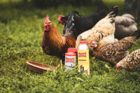 BALLISTOL Animal Tierpflegeöl (verschiedene Ausführungen)