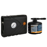 TERRAS Reifendichtmittel Mikro Plus 300 Kit mit 300 ml...