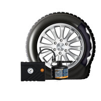 TERRAS Reifendichtmittel Mikro Plus 300 Kit mit 300 ml T56004