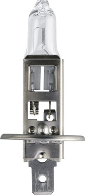 Philips Scheinwerferlampe MasterDuty H1 24V 70W P14,5s
