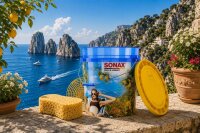 SONAX Auto Wascheimer mit Sieb und Deckel 19l Grit Guard Eimer Capri 04960980