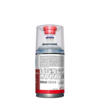 SprayMAX 250ml, 2K DTM-Grundierfüller hellgrau 684260