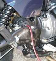 HERTH+BUSS - ELPARTS Stecker 13-polig Kunststoff, Spannung bis 24V 51305635